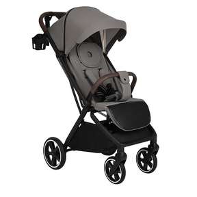 Прогулочная коляска PITUSO MATRIX XXL