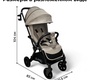 Прогулочная коляска Bubago Tricky