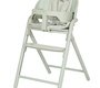 Стульчик для кормления Carrello Tenero CRL-9507 3в1