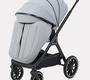 Детская коляска Rant Basic Terra 2в1 