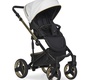 Коляска Riko Basic OZON Premium 2 в 1
