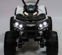 Электроквадроцикл BARTY Grizzly Т001МР