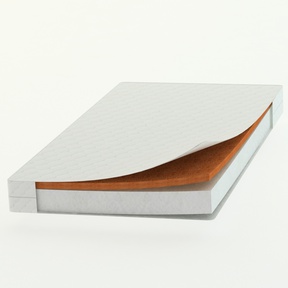 Матрас прямоугольный Dreams 180х90х11 см (кокосовая койра 3см + холкон 8см)