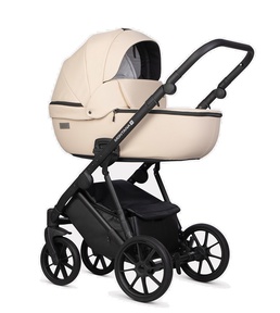 Детская коляска Riko Basic Montana X Ecco 2в1