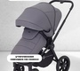 Детская коляска Rant Flex 2025 2в1 RA076