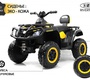 Детский электроквадроцикл Rivertoys T001TT 4WD