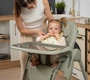 Стульчик для кормления Peppy Sommelier 2.0