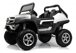 Детский электромобиль Mercedes-Benz Unimog Concept (P555BP)