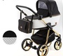 Коляска Adamex Reggio Special Edition 2 в 1