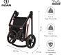 Детская коляска ROAN Sol Luxury 2 в 1