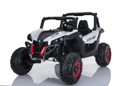 Электромобиль BARTY BAGGU XMX 603