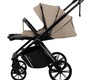 Детская коляска Indigo STING 3в1