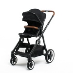 Прогулочная коляска BabyZz Dynasty 