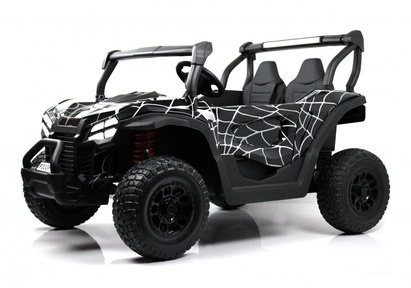Детский электромобиль Rivertoys P333PP (Buggy)