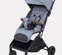 Прогулочная коляска RANT BASIC JOY