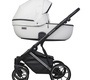 Детская коляска Riko Basic Montana Premium Silver 2 в 1