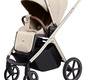 Детская коляска Carrello Vector 2в1 CRL-6550 