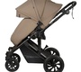 Детская коляска Indigo COIN 2в1