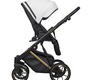 Коляска RIKO BASIC MONTANA PREMIUM Gold 2в1