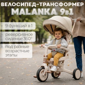 Велосипед-трансформер BubaGO Malanka 9в1