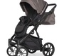 Детская коляска Riko Basic Montana 2 в 1