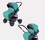 Коляска трансформер RANT basic RIVA