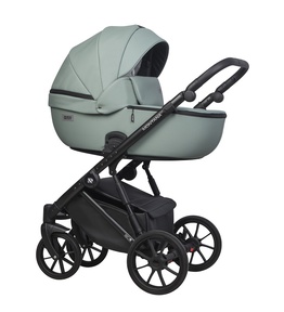 Коляска Riko Basic Montana Ecco 2 в 1