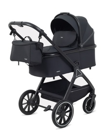 Детская коляска Rant Basic Terra 2в1 