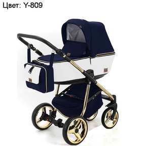 Коляска Adamex Reggio Special Edition 2 в 1