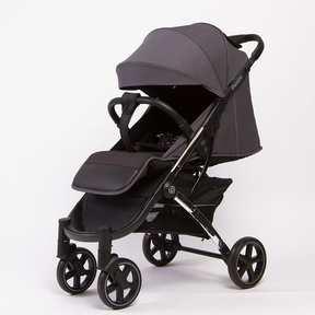 Прогулочная коляска Peppy Polo 2.0