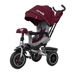 Велосипед трехколесный Baby Tilly CAYMAN T-381 с поворотным сидением и наклоном спинки