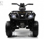 Детский электроквадроцикл Rivertoys T001TT 4WD