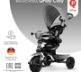 Трехколесный велосипед Qplay Cosy 8811