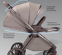 Коляска AmaroBaby Motus Premium Ecco Exclusive 2в1