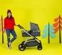 Коляска Cosatto Wow XL 2 в 1