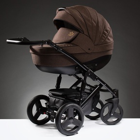 Детская коляска Esperanza Lotus Boss Sport 2 в 1 