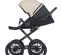 Детская коляска RIKO BASIC MONTANA X ECCO Prestige 2 в 1