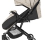 Коляска прогулочная BABY TILLY Bella T-163