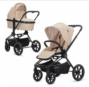 Коляска Labala Raiz 2 в 1