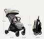Прогулочная коляска Joie Parcel