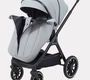 Детская коляска Rant Basic Terra 2в1 