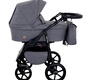 Детская коляска Alis ETUDE 2в1