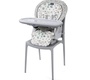Стульчик Chicco Polly Progres5