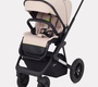 Коляска Rant AXIOM 2 в 1