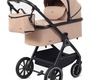 Детская коляска Rant Basic Terra 2в1 