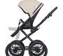 Детская коляска RIKO BASIC MONTANA X ECCO Prestige 2 в 1