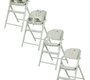 Стульчик для кормления Carrello Tenero CRL-9507 3в1