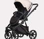 Детская коляска RIKO BASIC MONTANA PLUS 2в1