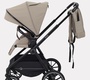 Прогулочная коляска Rant Moss 2025 RA323