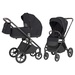 Basalt Black